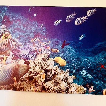 Casa Vacanza Cuto Bagheria Kültér fotó